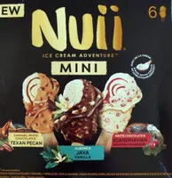 Mini ice cream adventure