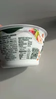 Apple pear yogurt zzboz
