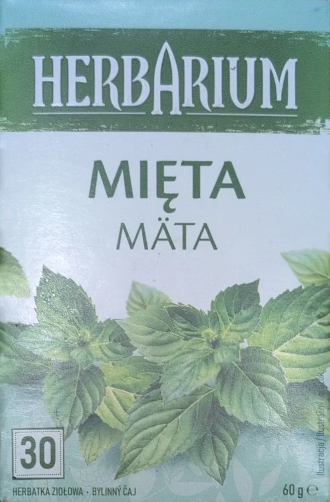 Mięta