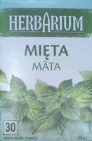 Mięta