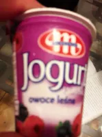 Jogurt polski