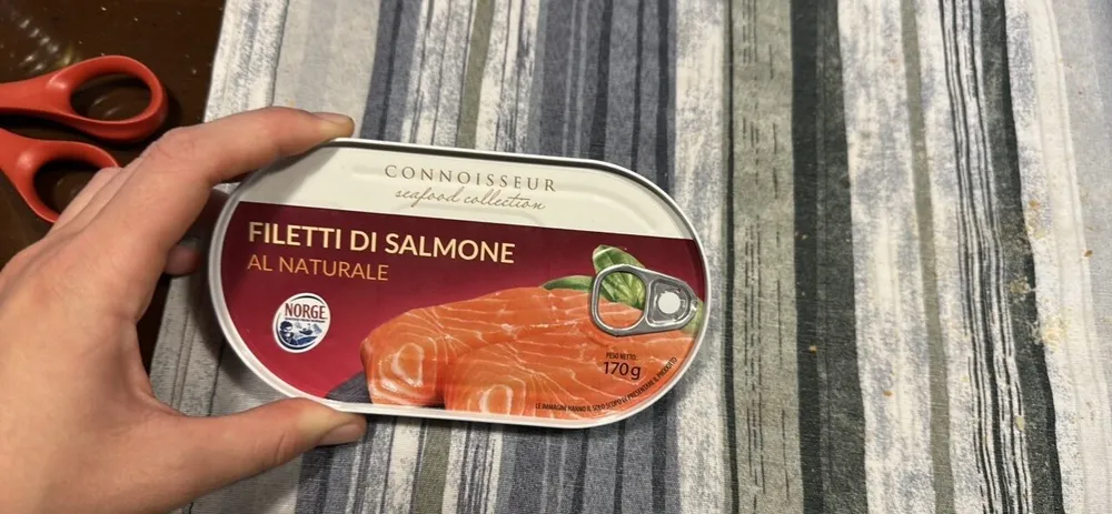 Filetti di salmone al naturale