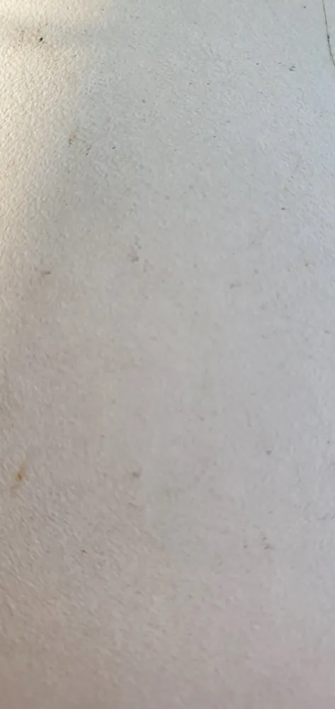 Quarkspeise selbstgemacht