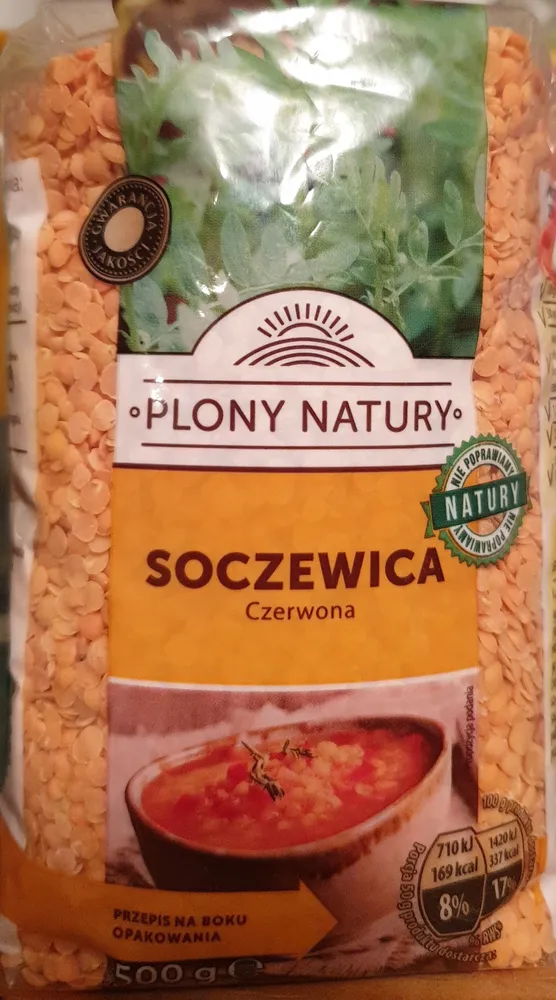 Soczewica
