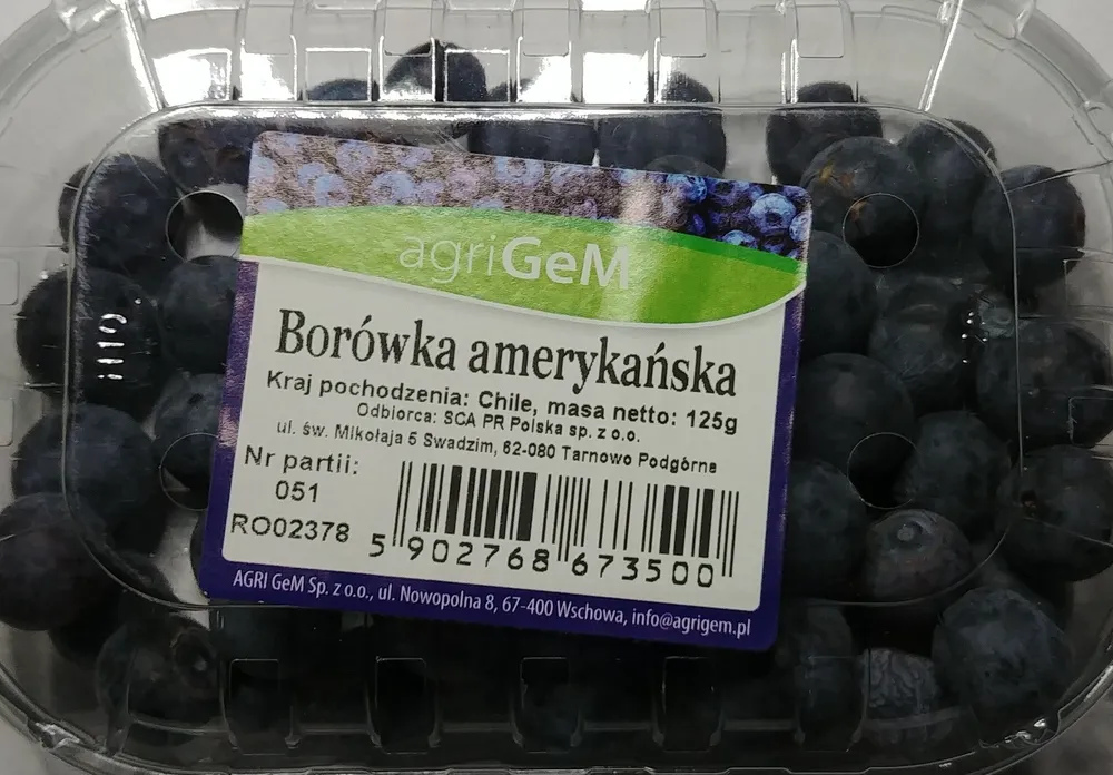 Borówka amerykańska