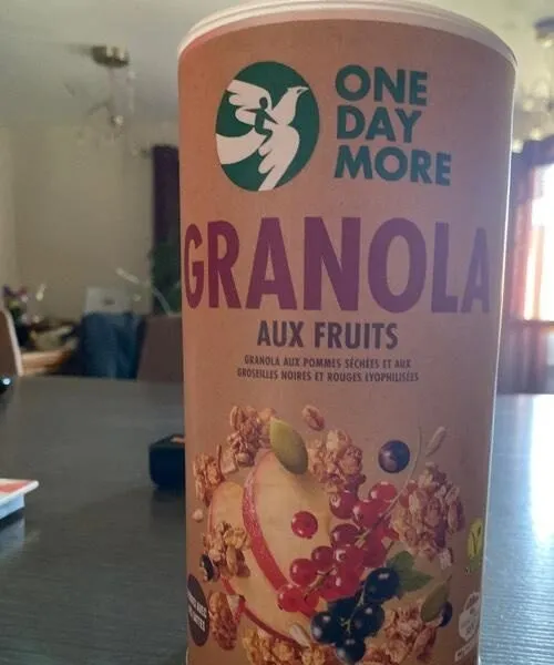 Granola aux fruits