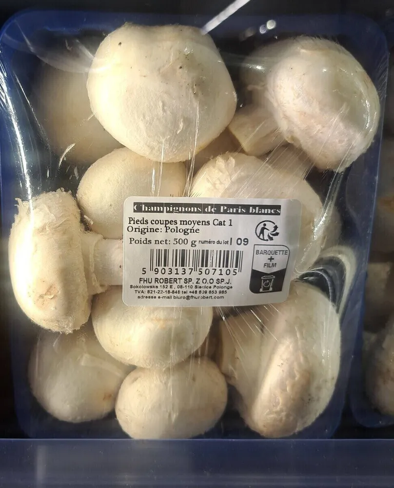 Champignons de paris