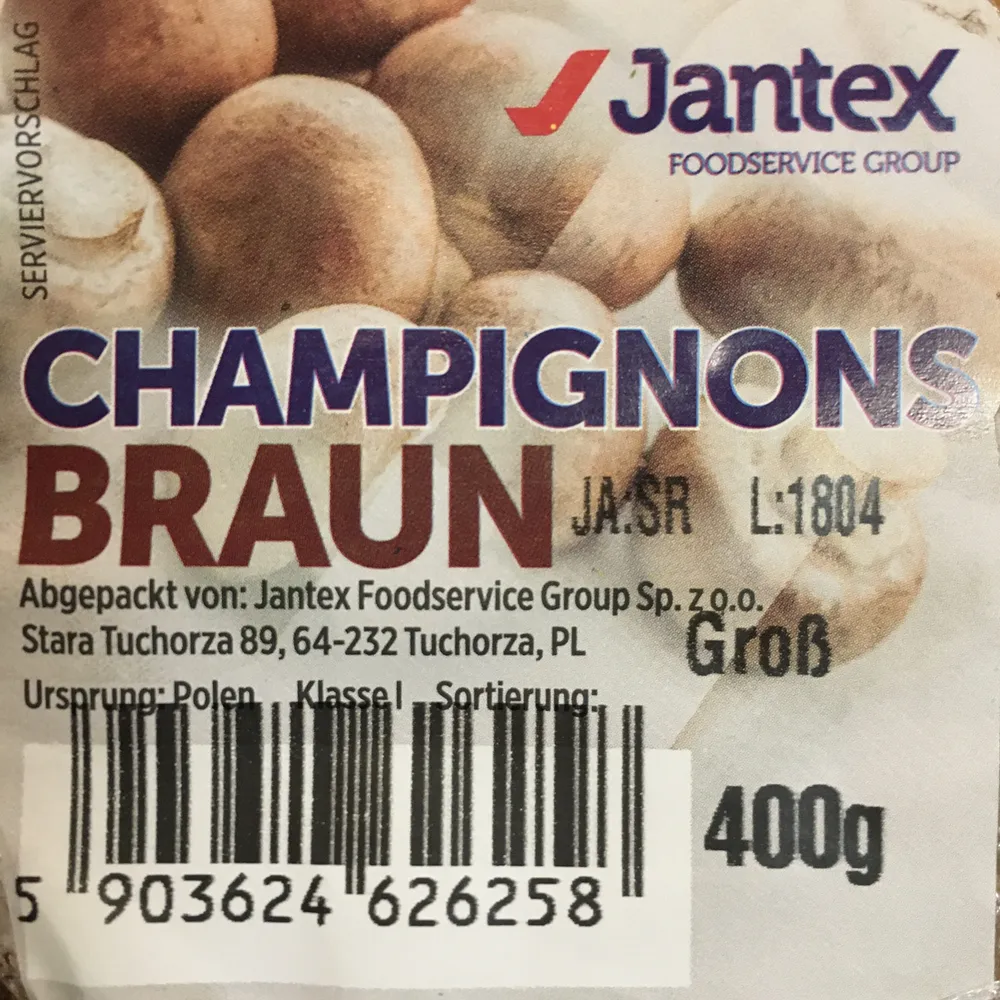 Champignons braun