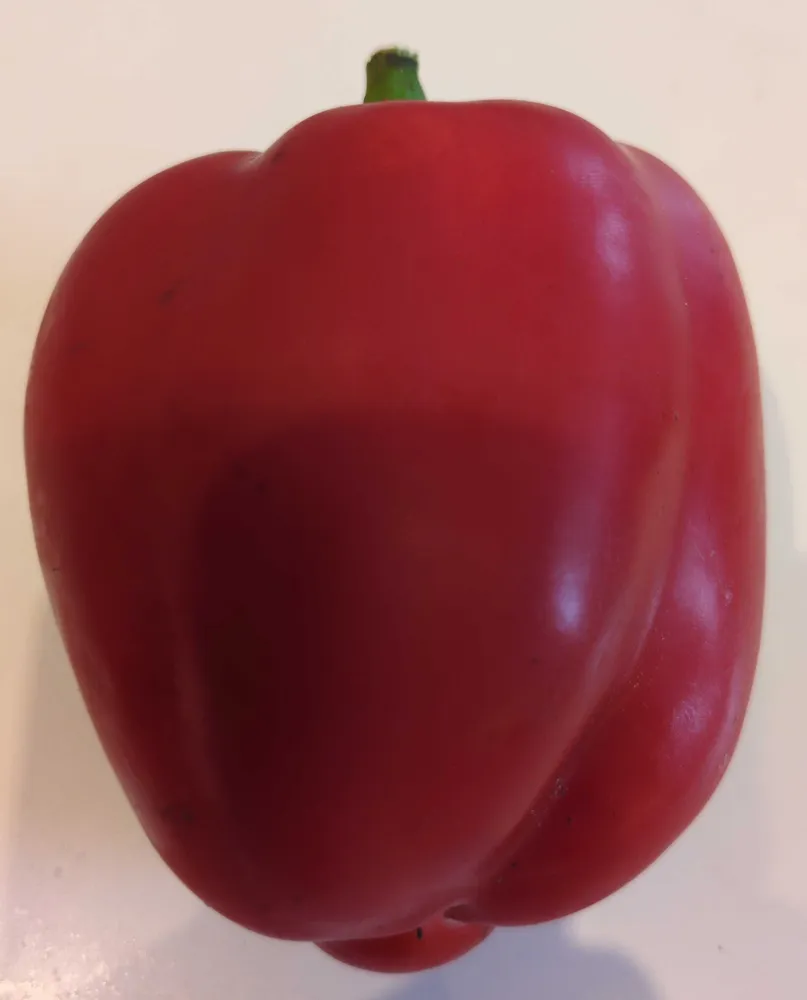 papryka slodka