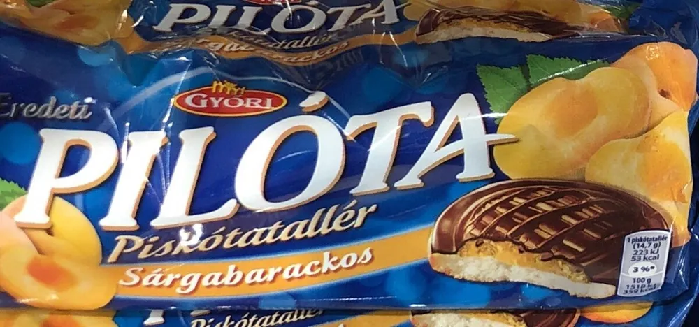Pilota