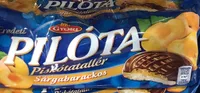 Pilota