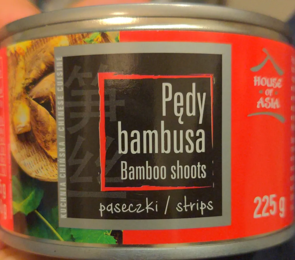 Pędy bambusa