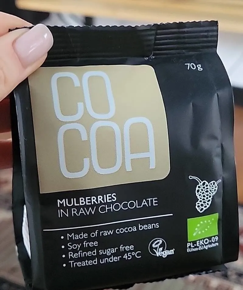 Mullberies in raw chocolate