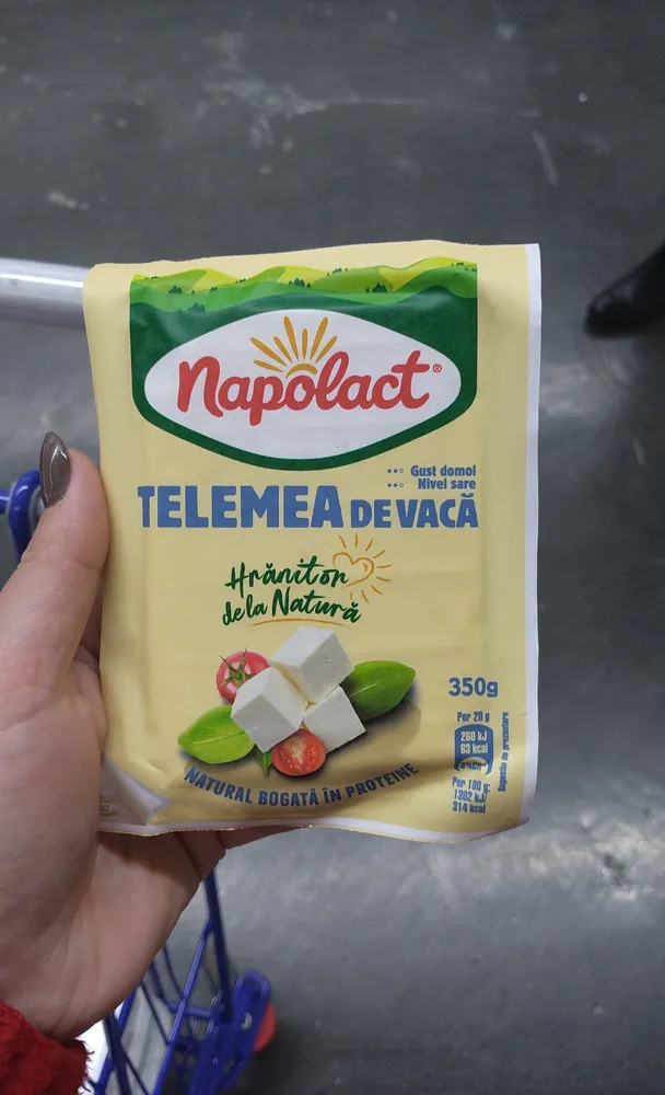 Telemea vaca