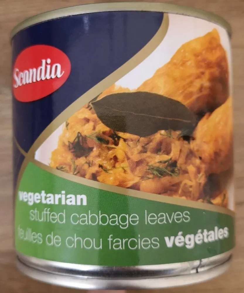 Vegetarian stuffed cabbage leaves