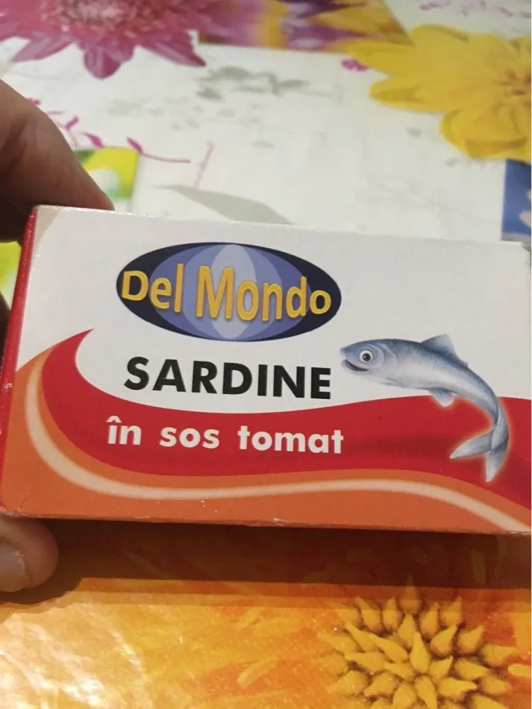 Sardines sauce tomate