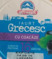 Iaurt grecesc cu coacaze