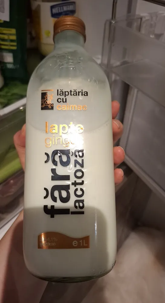 Lapte gingas