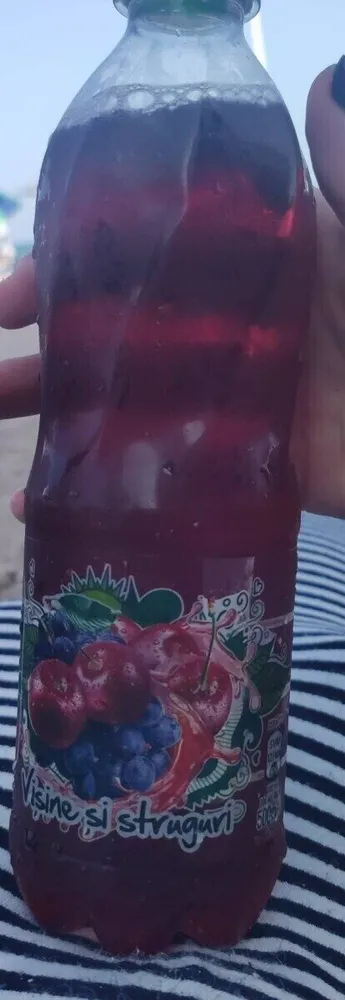 Visine si struguri