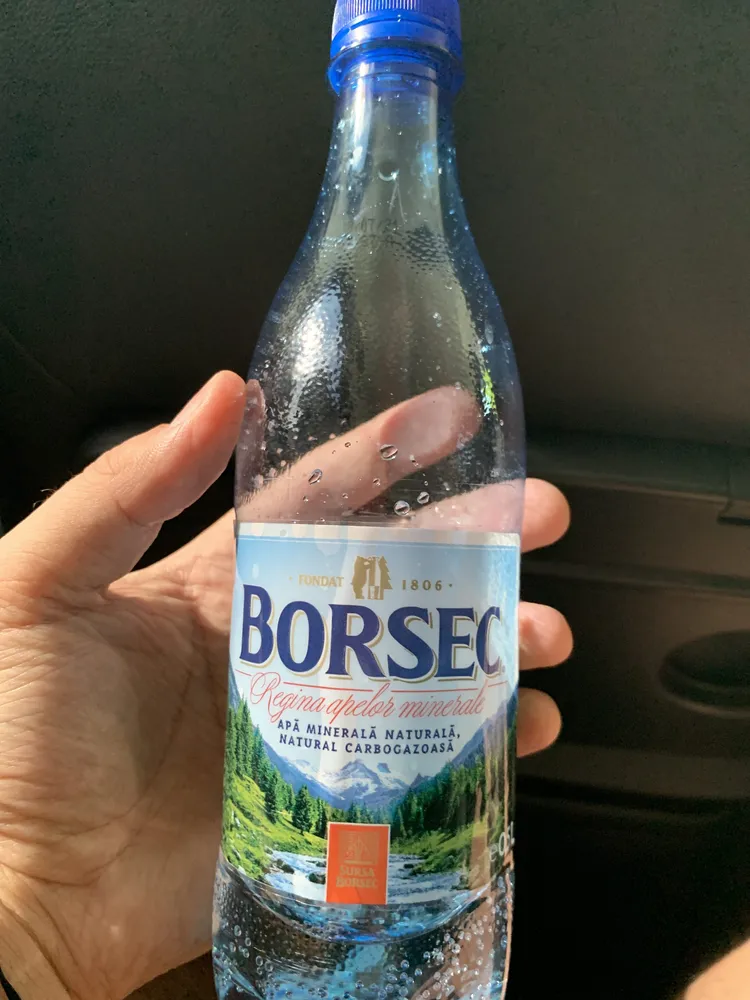 Apa Minerala Carbogazoasa