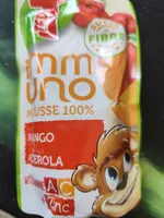 Mousse 100% Mango Acerola