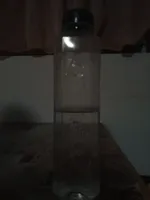Apa