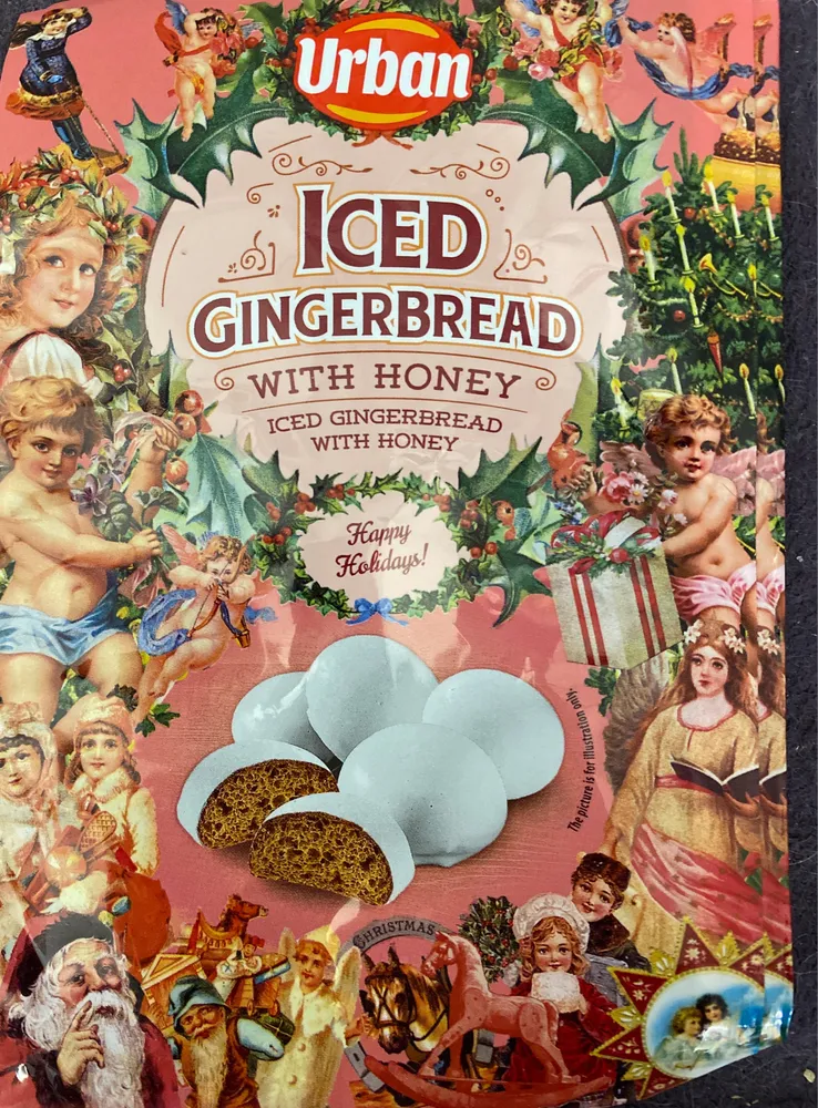 Iced Gingerbread with Honey
