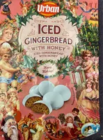 Iced Gingerbread with Honey