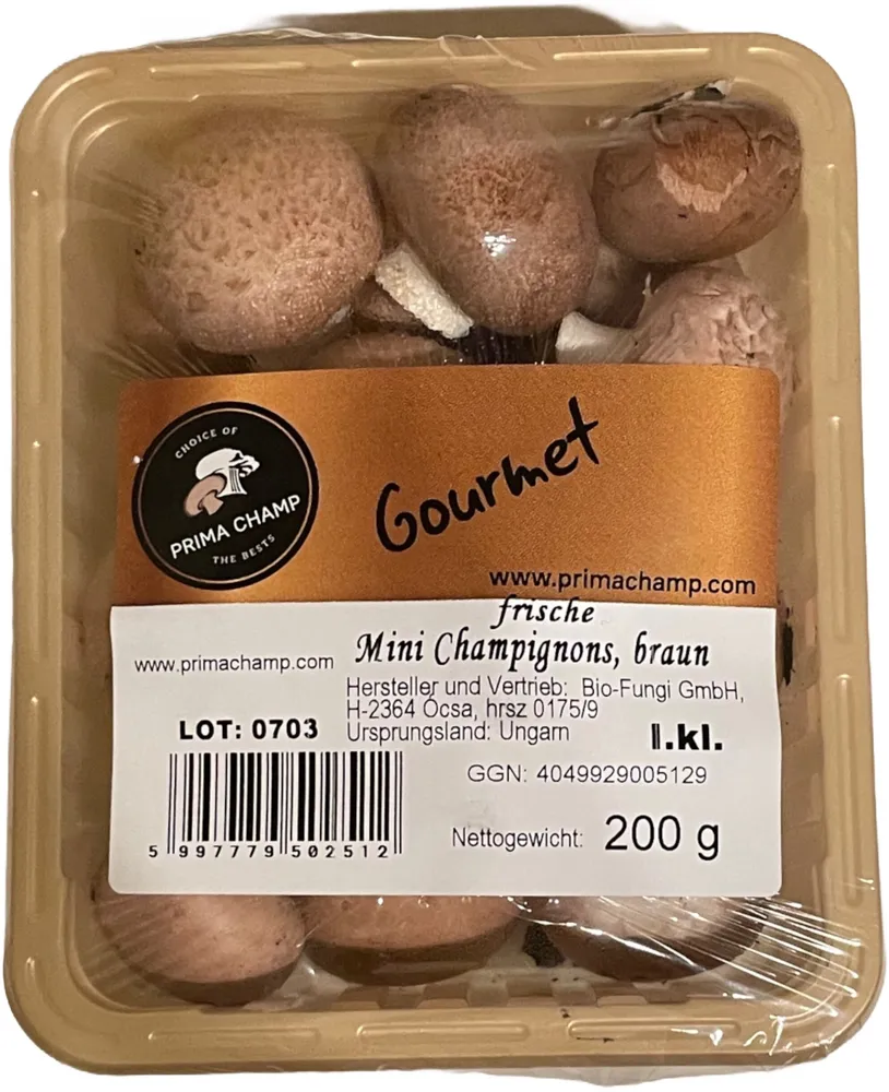 Mini Champignons