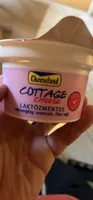 COTTAGE CHEESE