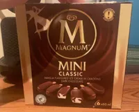 vanilla flavored ice cream with dark chocolate