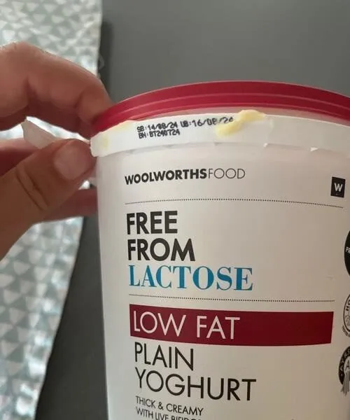Plain Yoghurt