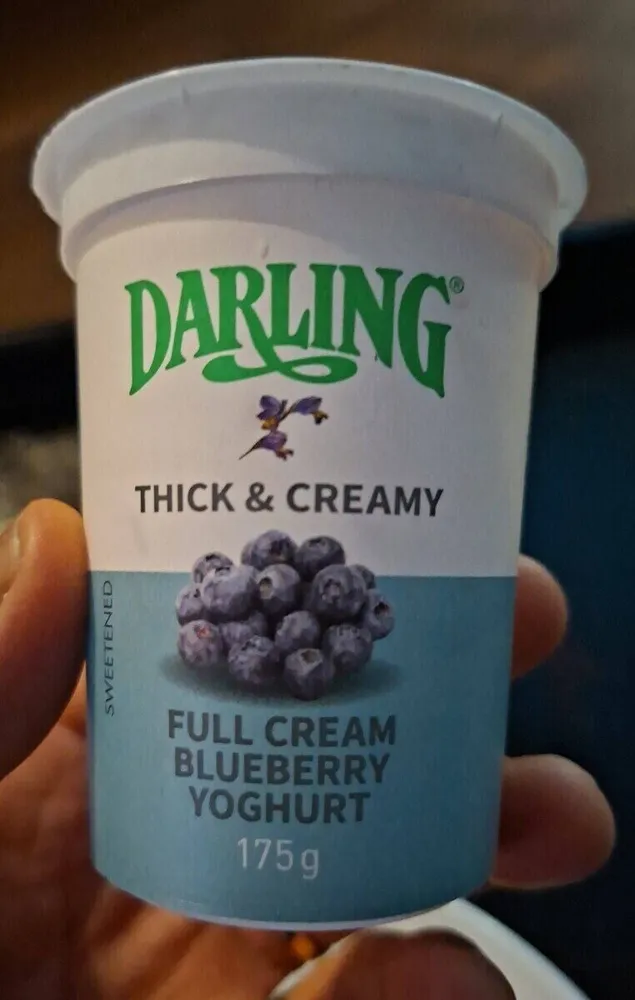 Full cream blue berry yogurt