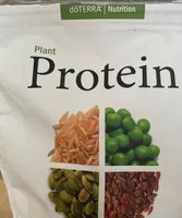 Plant protein
