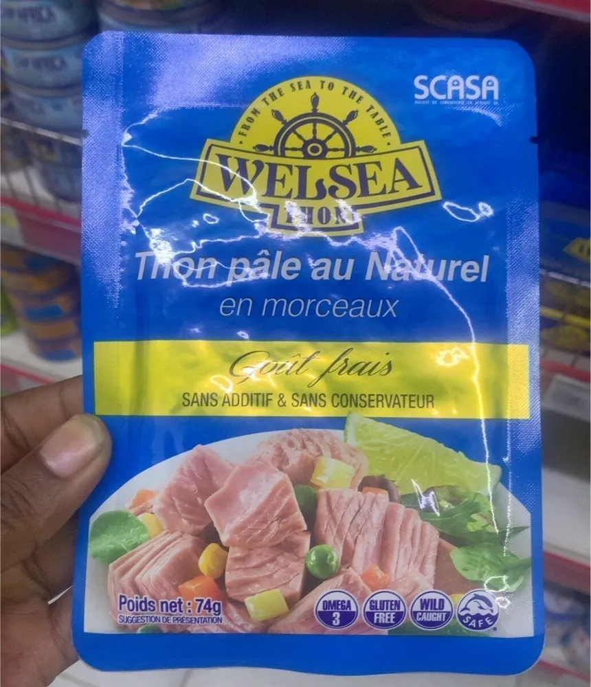 Thon Pale au naturel