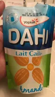 Dahi - lait caillé