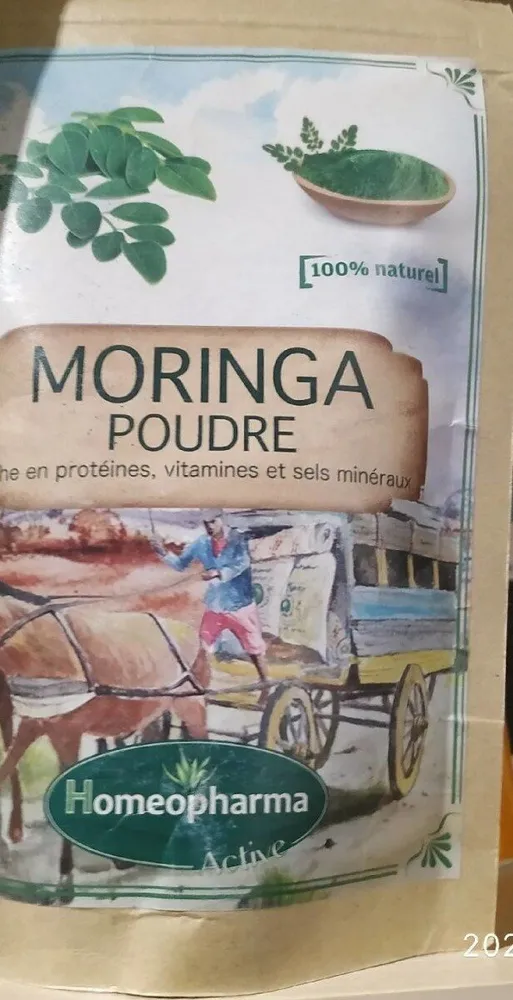Moringa poudre