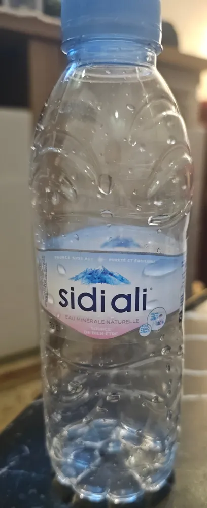 Sidi Ali