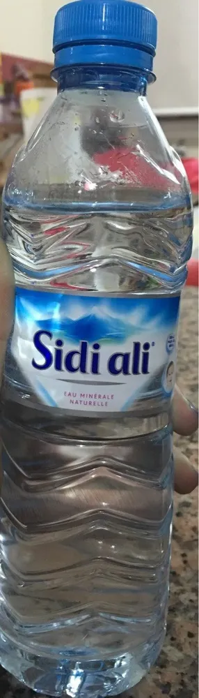 Sidi Ali