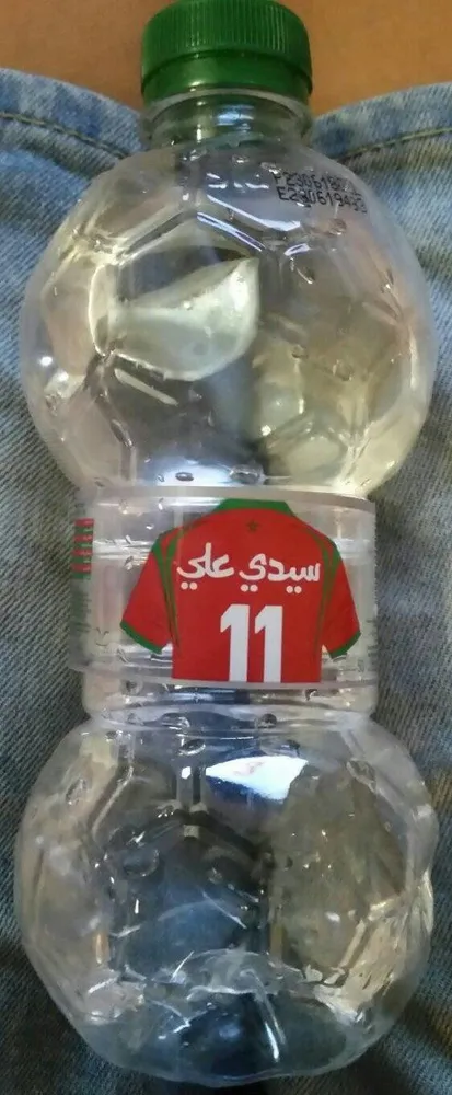 Sidi ali