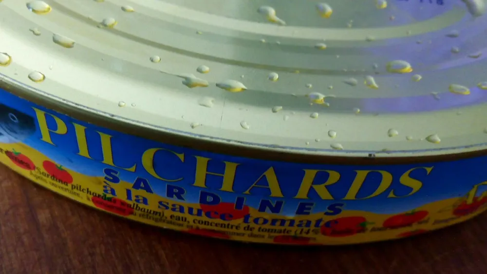 Pilchards