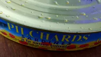 Pilchards