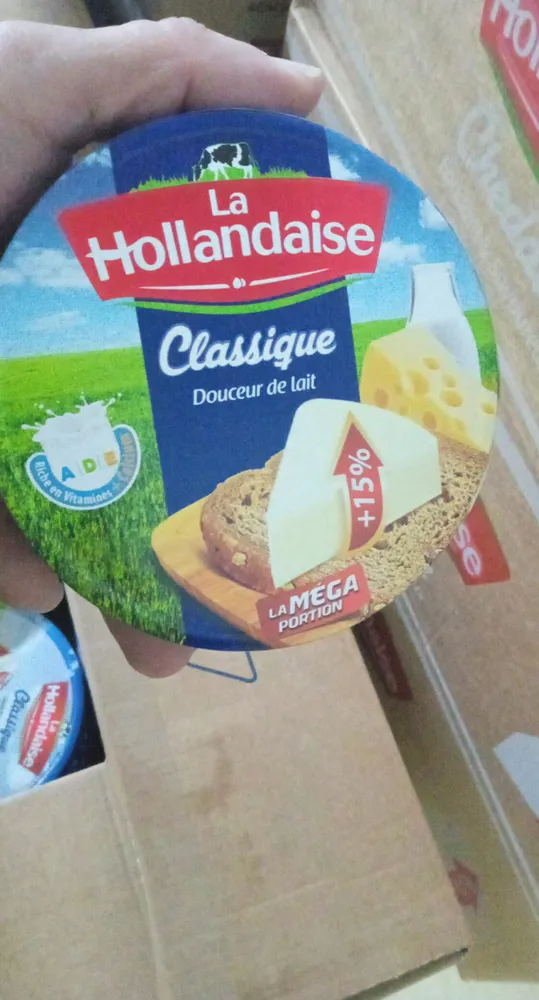 hollandis class 16p