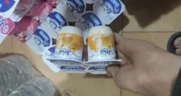 Jibal mangue