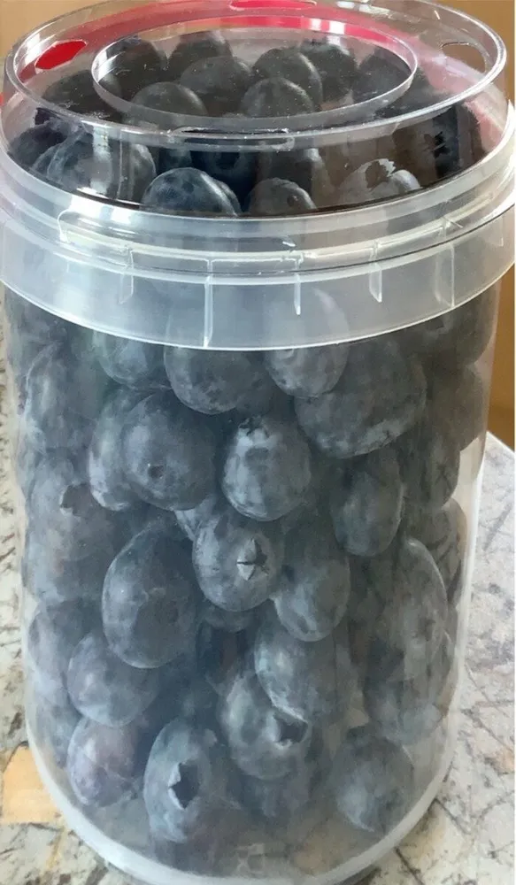 Kulturheidelbeeren