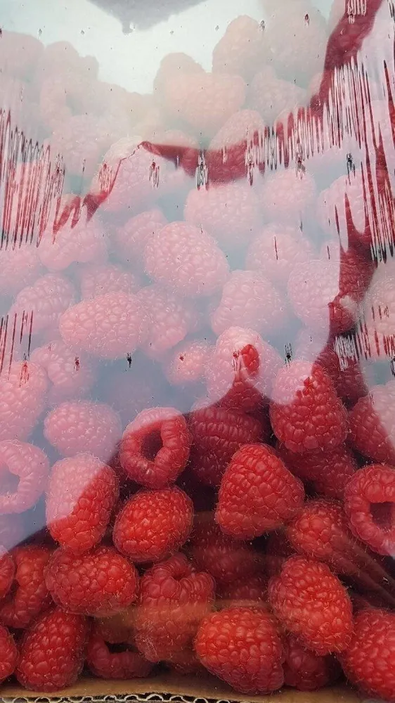 Barquette de framboises adelita