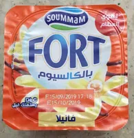 Fort Vanille