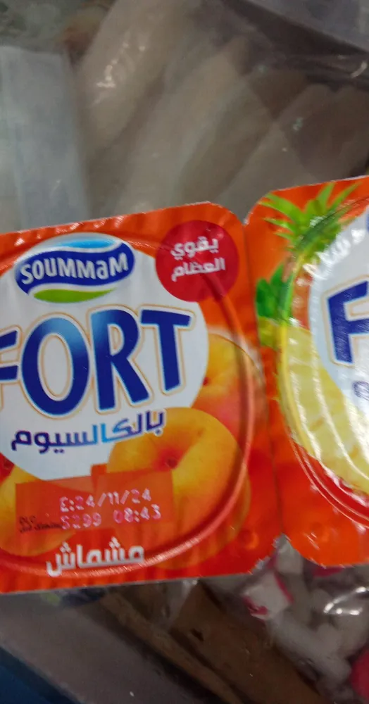 Fort