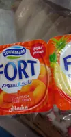 Fort