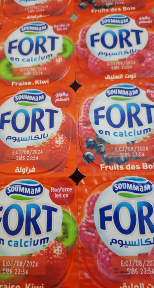 Soummam fort